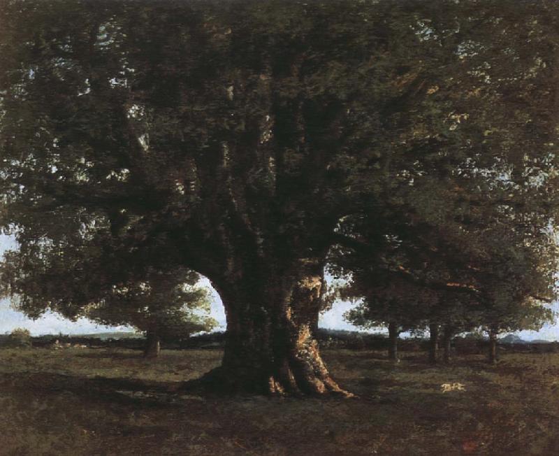 Gustave Courbet Tree oil painting image